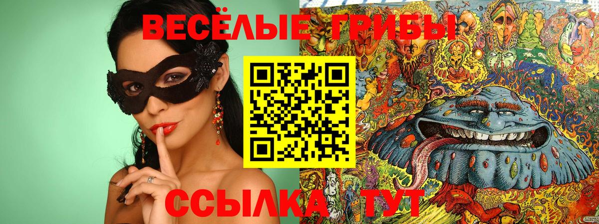 Зеленогорск  Галлюциногенные грибы прущие грибы  Вход с VPN 